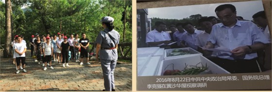 富豪彩票,轻触开关,微动开关,编码器