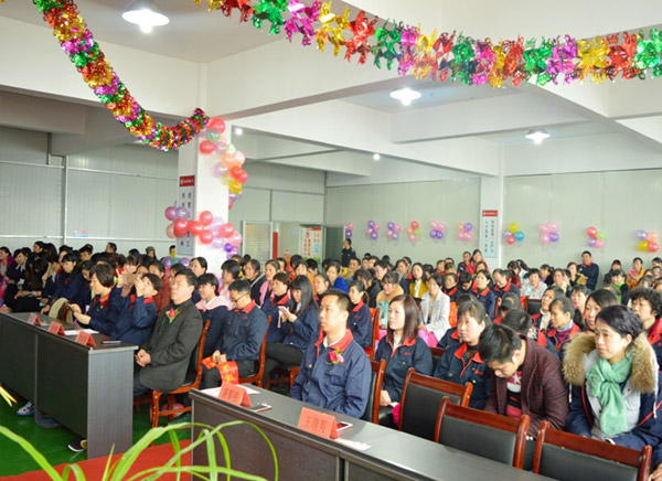 富豪彩票2015年度表彰暨迎新春联欢晚会